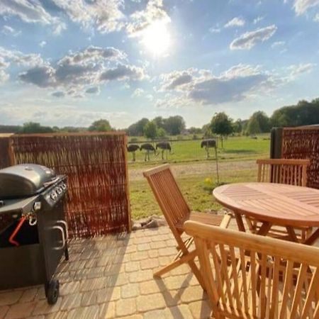 Tiny Haus Straussenblick 2 Villa Bad Fallingbostel Bagian luar foto