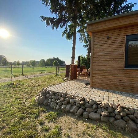 Tiny Haus Straussenblick 2 Villa Bad Fallingbostel Bagian luar foto