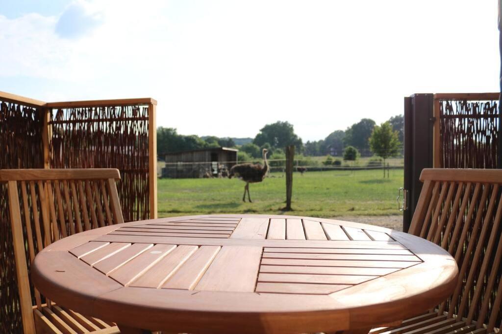 Tiny Haus Straussenblick 2 Villa Bad Fallingbostel Bagian luar foto